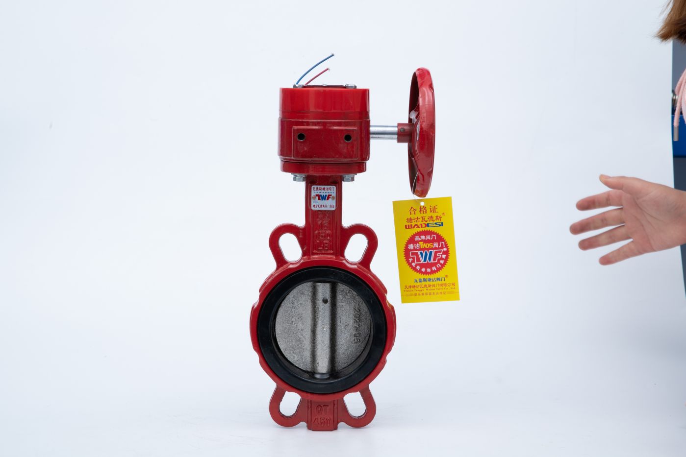 常州沟槽信号对夹蝶阀