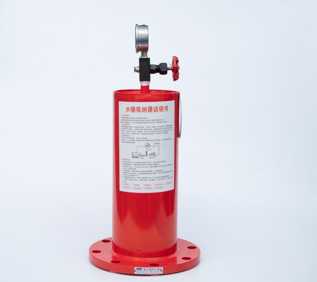 泰州水锤消除器